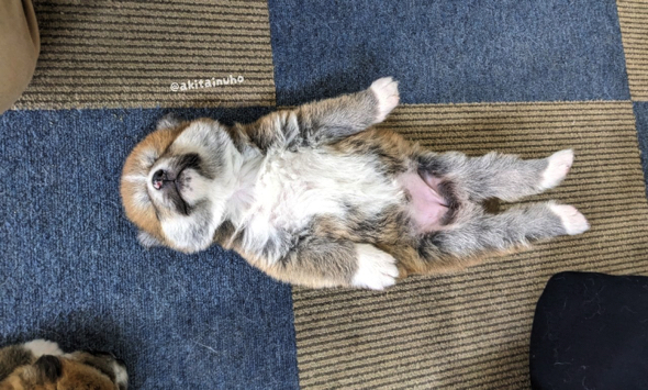 無防備な姿で眠る赤ちゃん