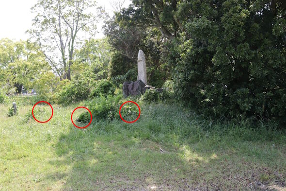 自衛隊　自衛官を探せ　クイズ　問題