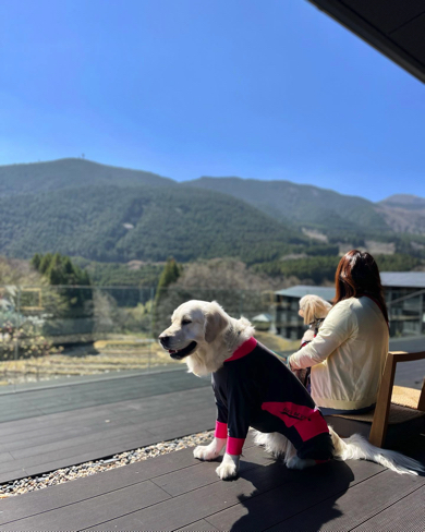 ワンコたちとさまざまな所へ旅をしています