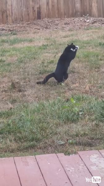 ジャンプからのキャッチ