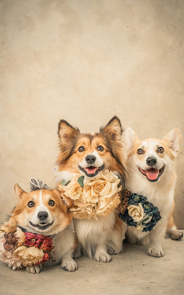 お花がお似合い