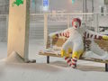 日本最北端マクドナルドで“雪を被ったドナルド像”が話題に　「かっこいい」「ドナルドが消える季節か」