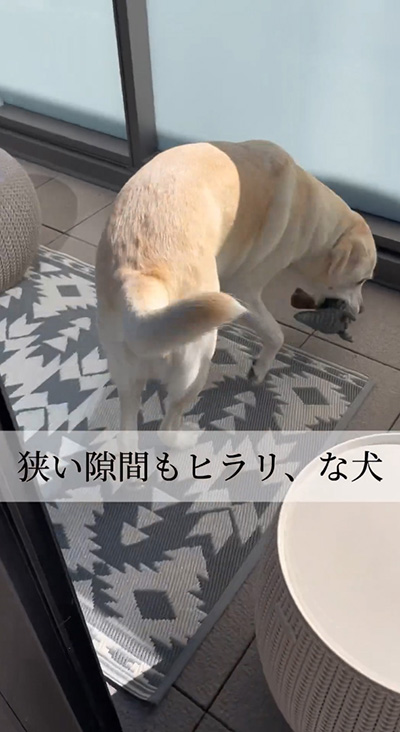 せまいすき間も