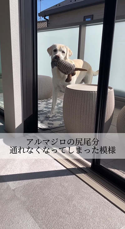 通れなくなってしまった