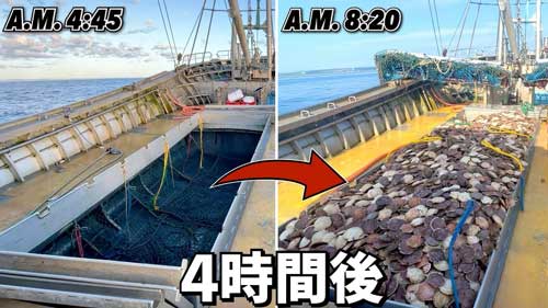 爆速で穫る 12トン 水揚げ日本一 ホタテ漁 猿払村 北海道 セルフ密着