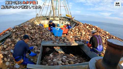 爆速で穫る 12トン 水揚げ日本一 ホタテ漁 猿払村 北海道 セルフ密着