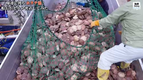爆速で穫る 12トン 水揚げ日本一 ホタテ漁 猿払村 北海道 セルフ密着