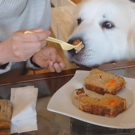 レオくんのごはんサイズは……