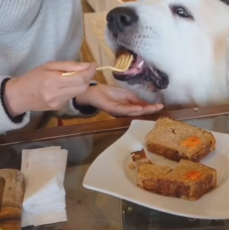 レオくんのごはんサイズは……