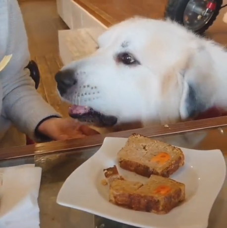 レオくんのごはんサイズは……