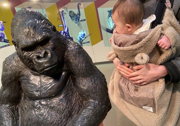 ゴリラに「マママママママ」