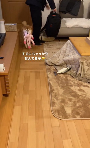 すでにちゃっかり甘えてる子