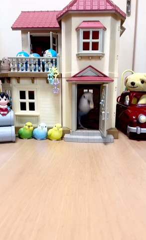 ハウスの中で物くわえてるインコ