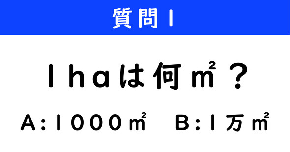 ねとらぼ　2択クイズ　ダンジョン