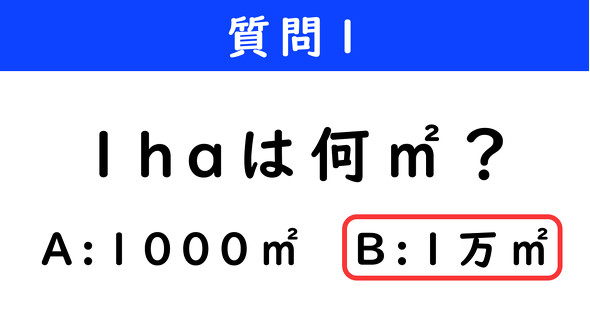 ねとらぼ　2択クイズ　ダンジョン