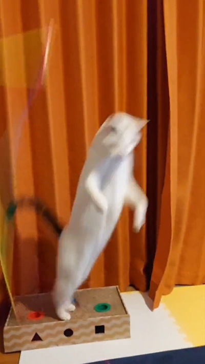 おもちゃとお豆くんの残像