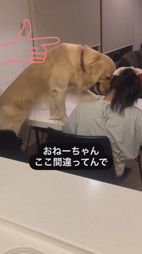 勉強を教えてあげるエマちゃん