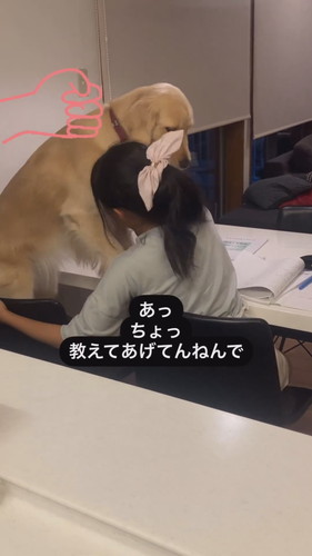 勉強を教えてあげるエマちゃん