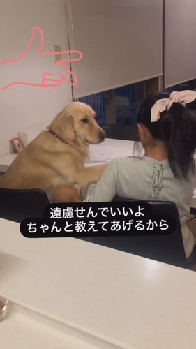 勉強を教えてあげるエマちゃん