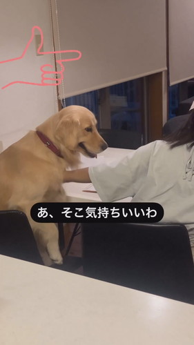 勉強を教えてあげるエマちゃん