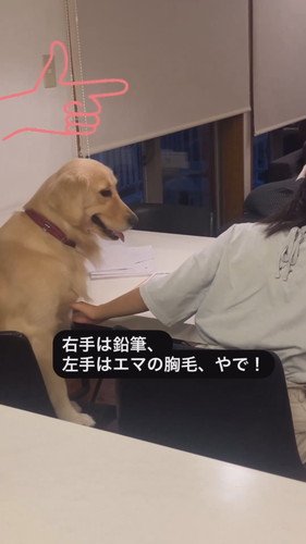 勉強を教えてあげるエマちゃん