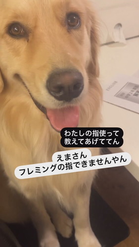 勉強を教えてあげるエマちゃん