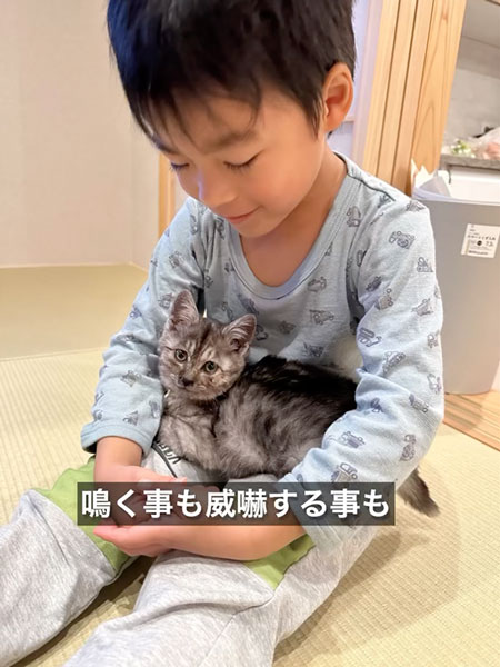 育児放棄された子猫のダイジェスト