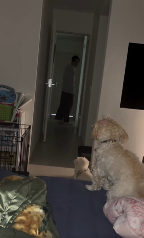 廊下の奥にいるパパ