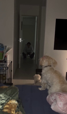 しゃがんでるパパ