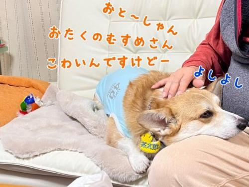 ーギーとおじいちゃん