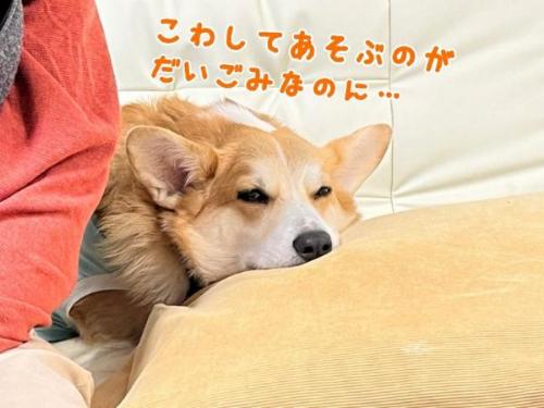 ーギーとおじいちゃん