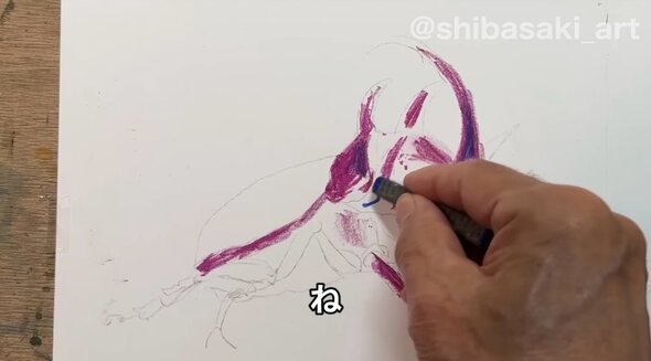 クレヨンでカブトムシ02