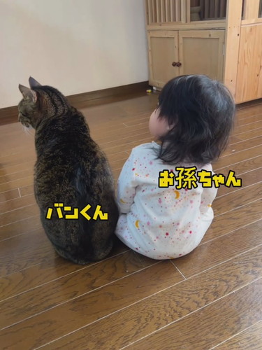 バンくんとお孫ちゃん