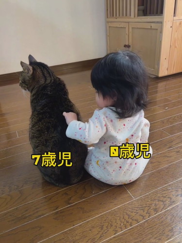 バンくんとお孫ちゃん