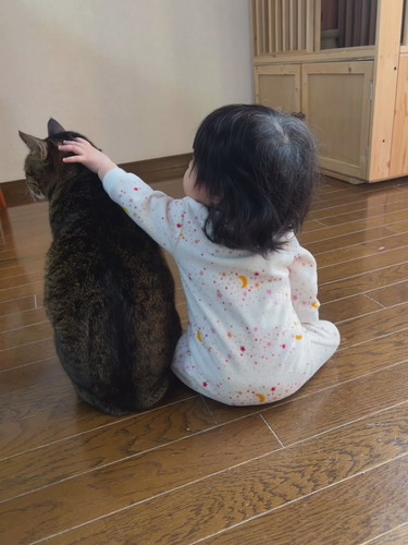 ナデナデするバンくんとお孫ちゃん