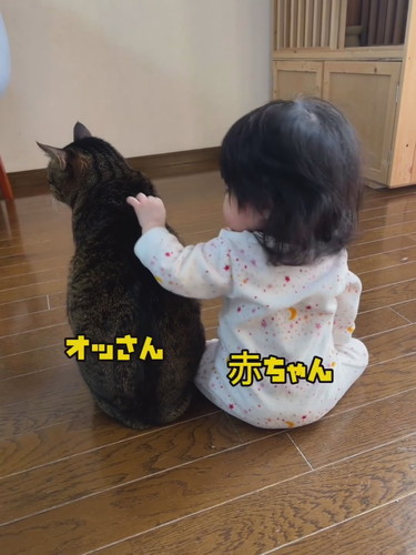 猫と赤ちゃん