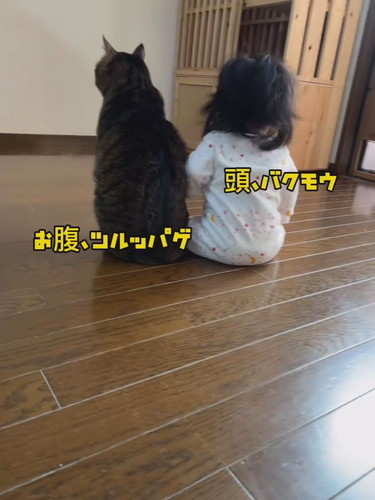 バンくんとお孫ちゃん