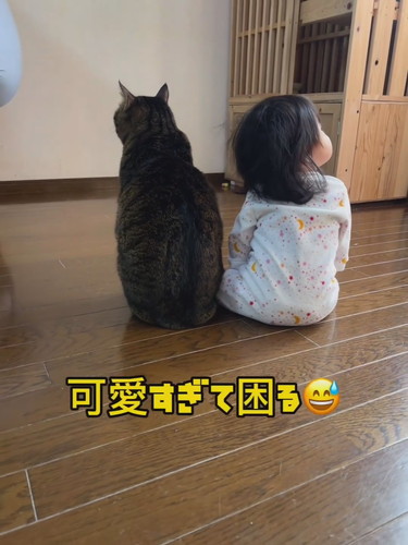 バンくんとお孫ちゃん