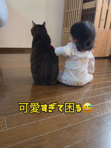 バンくんとお孫ちゃん