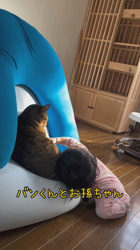 バンくんとお孫ちゃん