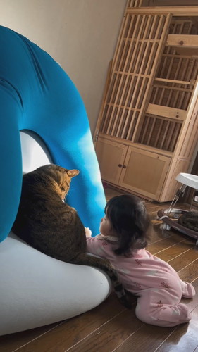 バンくんとお孫ちゃん