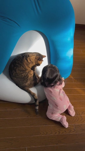 バンくんとお孫ちゃん