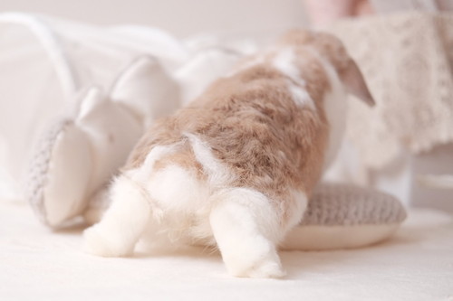 チャイちゃんとモカくん