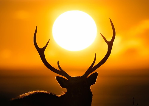 kikuoさんの作品