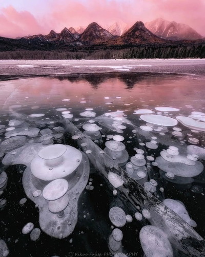 kikuoさんの作品