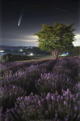 kikuoさんの作品