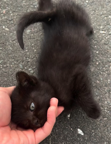 おすすめ
