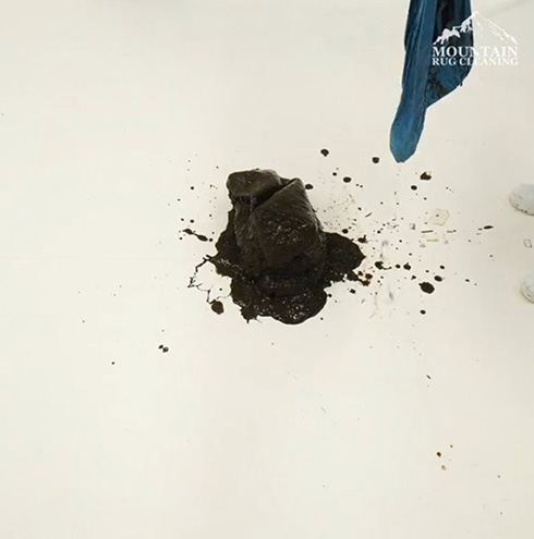 クリーニング 掃除 ビフォーアフター