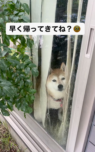 切ないお見送り