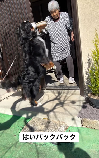 お芋を食べるデカワンコ